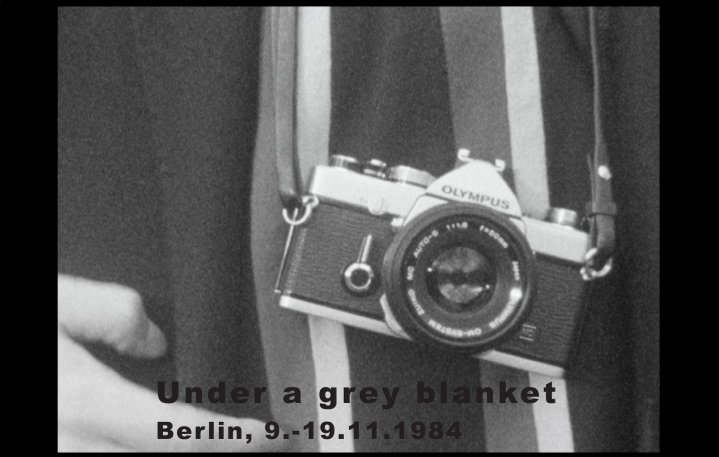 Under a grey blanket – Berlin, 9.-19.11.1984 – Old World Apes